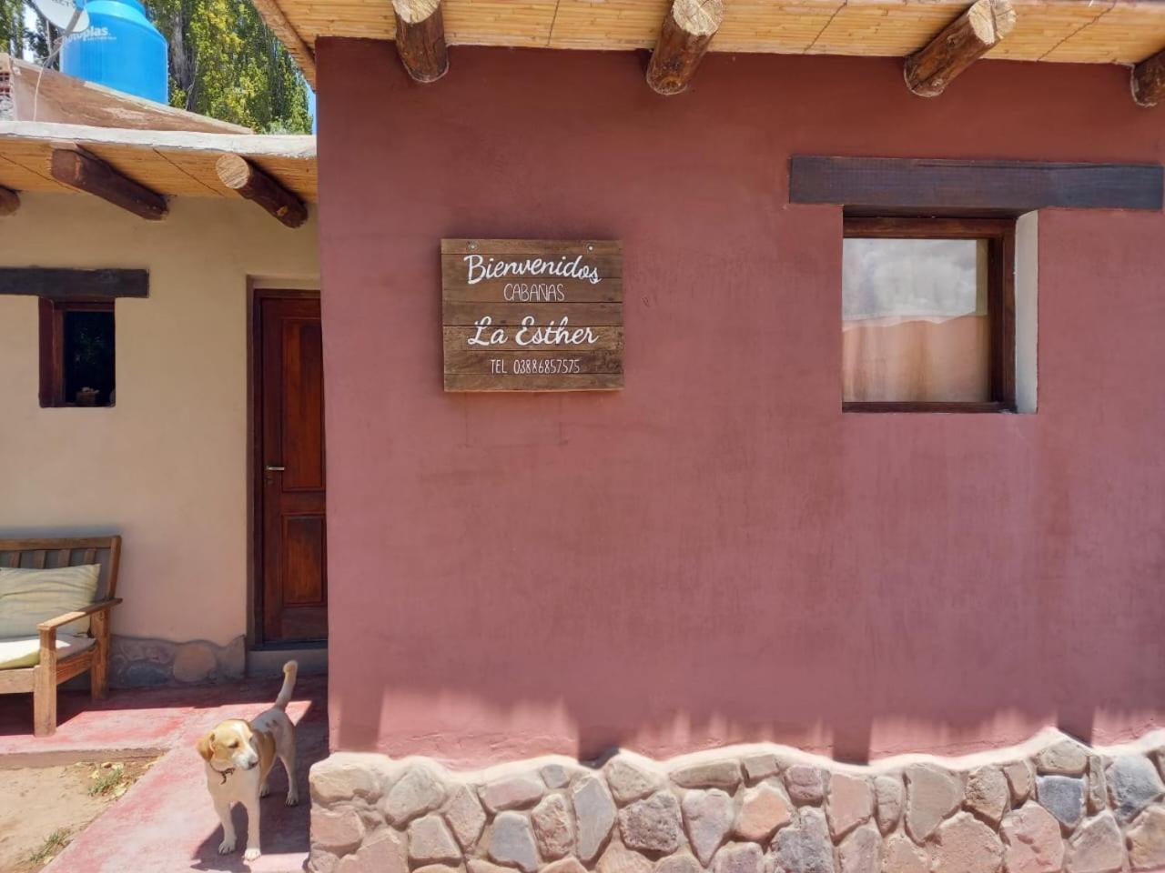 Cabanas La Esther ティルカラ エクステリア 写真